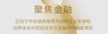 金融创新与上市并购董事长项目